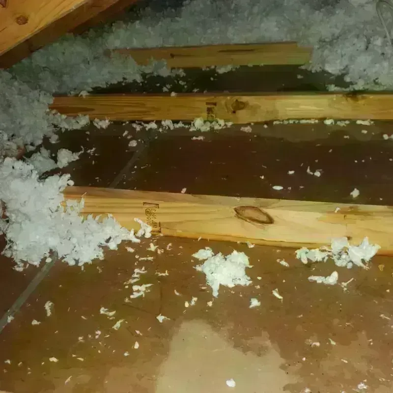 Attic Water Damage in Saint Albans, VT