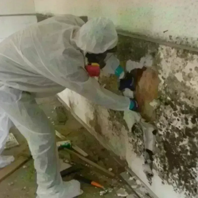 Mold Remediation and Removal in Saint Albans, VT